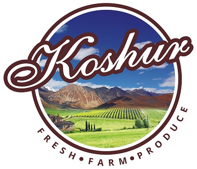 Koshur Device mark 3908166 Trademark