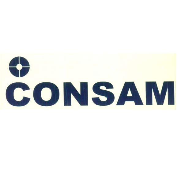 Consam With Device Device mark 3909908 Trademark
