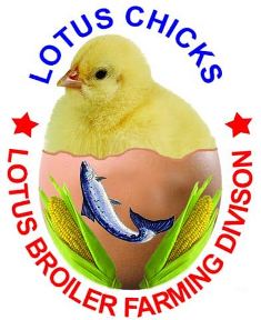 Lotus Chicks - Lotus Broiler Farming Divison Device mark 3912924 Trademark