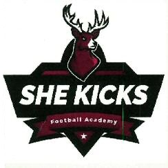 She Kicks Football Academy Device mark 3927269 Trademark