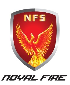 Nfs Noyal Fire Device mark 3956705 Trademark