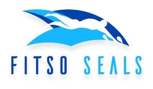 Fitso Seals Device mark 3938566 Trademark