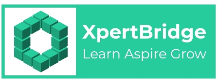 Xpertbridge Device mark 3962697 Trademark