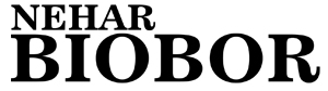 Nehar Biobor Device mark 3952669 Trademark