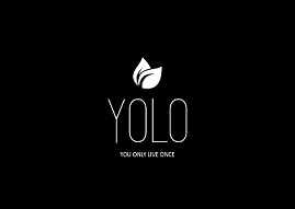 Yolo Device mark 3976802 Trademark