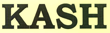 Kash Device mark 3983282 Trademark