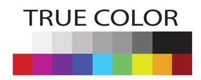 True Color Device mark 3984125 Trademark