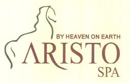 Aristo Spa By Heaven On Earth With Device Device mark 3992278 Trademark