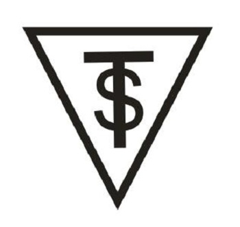 Ts Device mark 3996792 Trademark