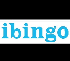 Ibingo Device mark 3999357 Trademark