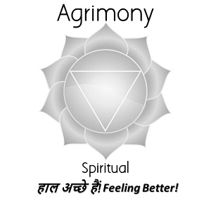 Agrimony Spiritual -haal Achche Hain! Feeling Better! Device mark 4000065 Trademark