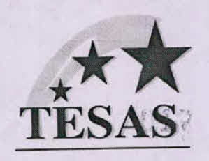 Tesas Device mark 4012901 Trademark