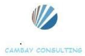 Cambay Consulting Device mark 4016826 Trademark