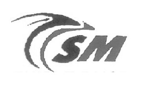 Device Of Sm Device mark 4024941 Trademark