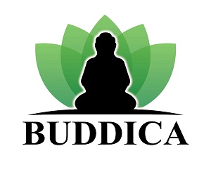 Buddica Device mark 4026349 Trademark
