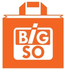 Bigso Device mark 4028726 Trademark