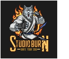 Studio Burn- Ignite Your Soul With Device Device mark 4047751 Trademark