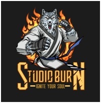 Studio Burn Ignite Your Soul With Device Device mark 4047768 Trademark