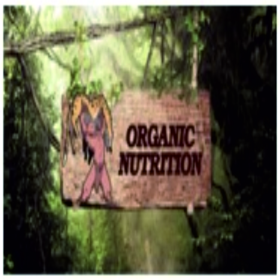 Organic Nutrition Device mark 4048780 Trademark