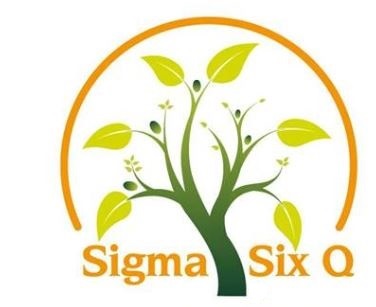 Sigma Six Q Device mark 4039199 Trademark
