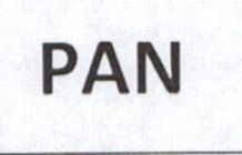 Pan Device mark 4052399 Trademark