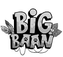 Big Baan Device mark 4039752 Trademark
