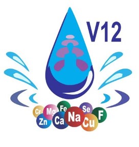 V12 Device mark 4055331 Trademark