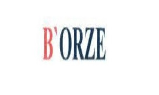B'orze Device mark 4061786 Trademark