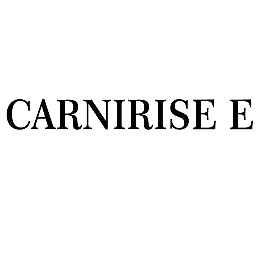 Carnirise E Device mark 4077857 Trademark