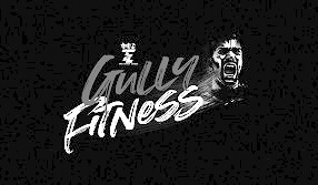 Gully Fitness Device mark 4080091 Trademark