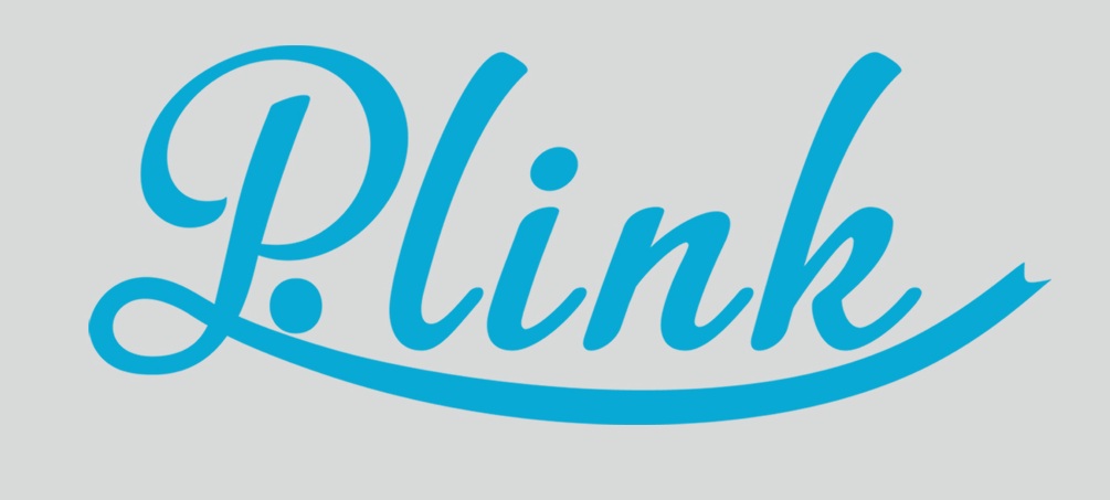 P.link Label Device mark 4082662 Trademark