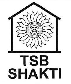 Tsb Shakti Device mark 4084646 Trademark