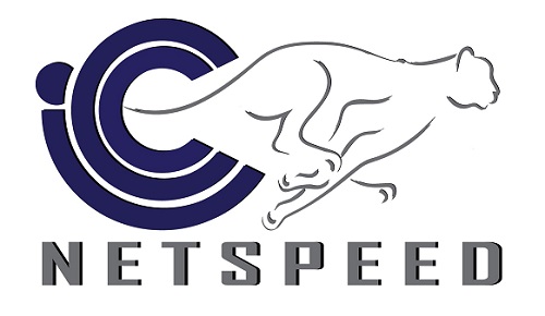 Icc Netspeed Device mark 4109452 Trademark