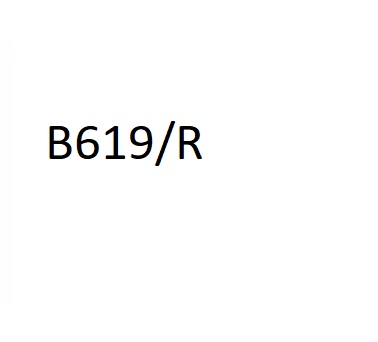 B619r Device mark 4119295 Trademark