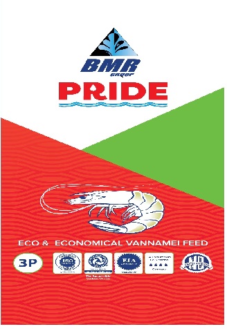 Bmr Pride Device mark 4122387 Trademark