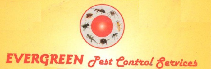 Evergreen Pest Control Services With Device Device mark 4125167 Trademark