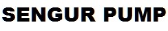 Sengur Pump Device mark 4132077 Trademark