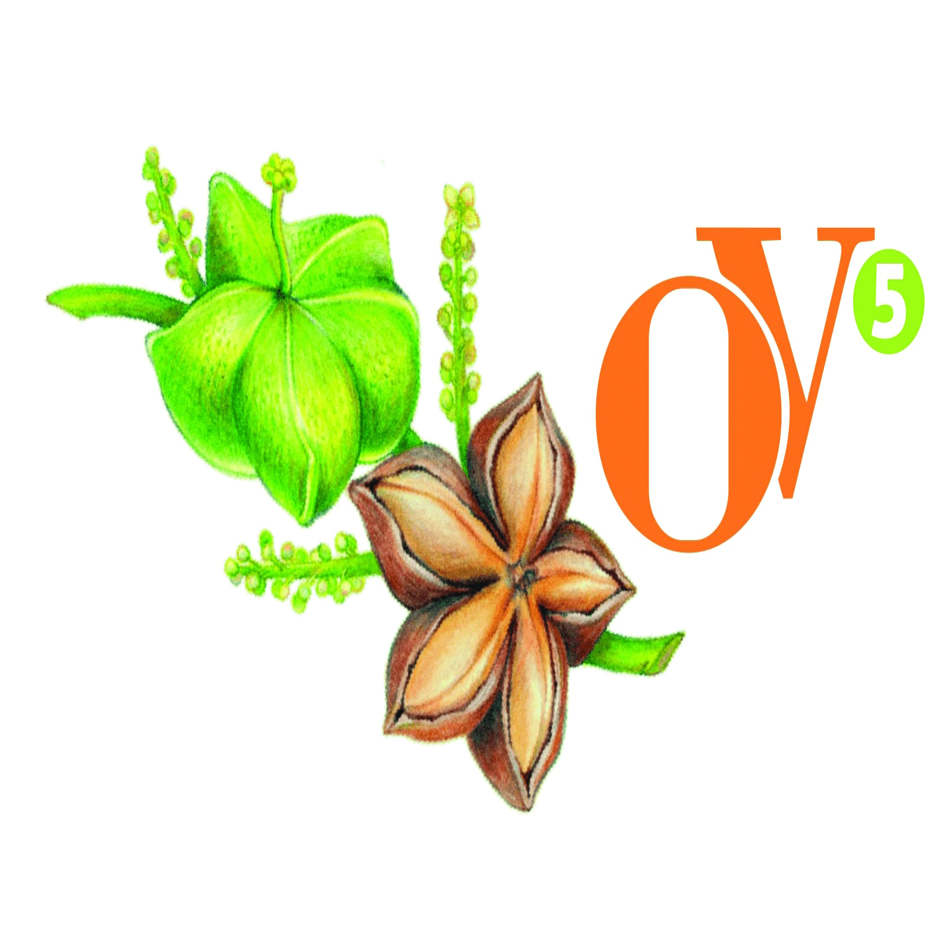 Ov5 With Device Device mark 3982559 Trademark