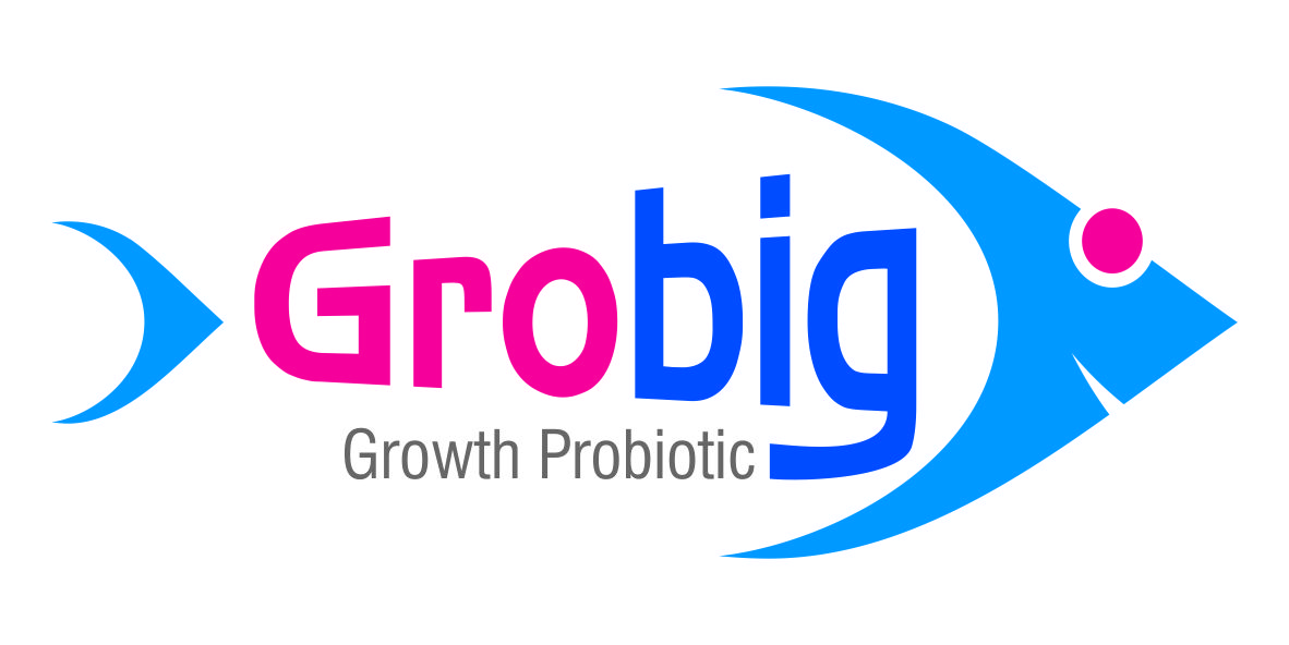 Grobig Device mark 3911935 Trademark