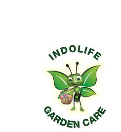 Indolife (composite Label) Device mark 3888796 Trademark