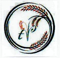 Device Device mark 2981468 Trademark