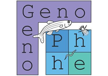 Genophe Device mark 4154989 Trademark