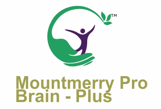 Mountmerry Pro Brain- Plus Device mark 4156392 Trademark
