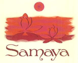 Samaya Device mark 2933162 Trademark