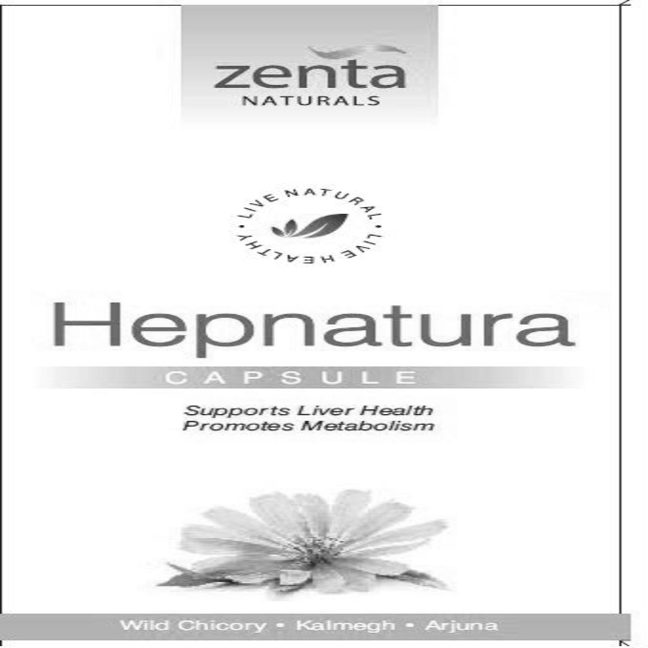 Zenta Naturals Hepnatura Device mark 4162142 Trademark