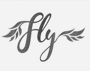 Fly Device mark 3762020 Trademark