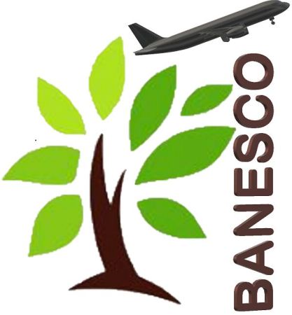 Banesco Device mark 3761613 Trademark