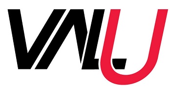 Valu ( Logo) Device mark 4176880 Trademark