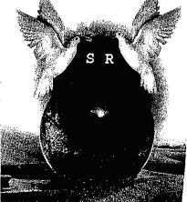 S R (device Of Bird) Device mark 2332858 Trademark