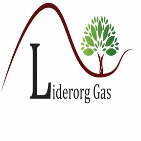 Liderorg Gas Device mark 4193294 Trademark